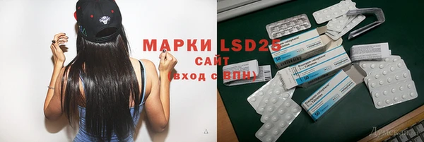 стафф Вязьма