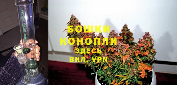 крисы Горняк