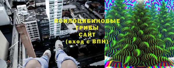 соль ск Горнозаводск