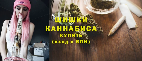 крисы Горняк