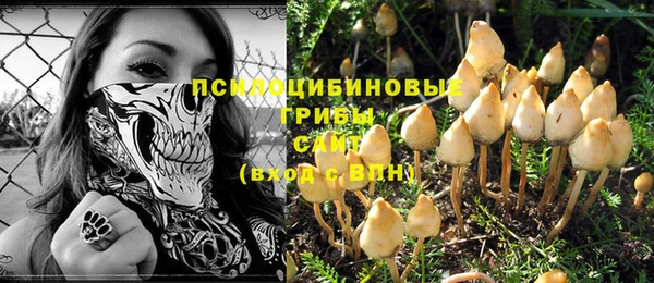 крисы Горняк