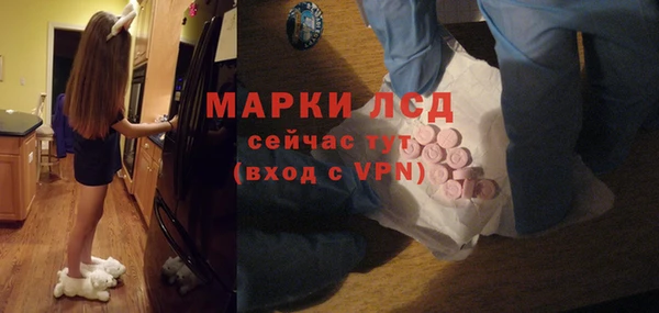 соль ск Горнозаводск