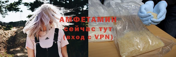 крисы Горняк